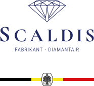 Business logo Scaldis + meesterstempel